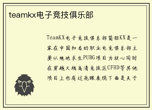 teamkx电子竞技俱乐部